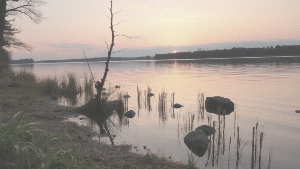 Jakie są najlepsze pory dnia do połowu szczupaka?