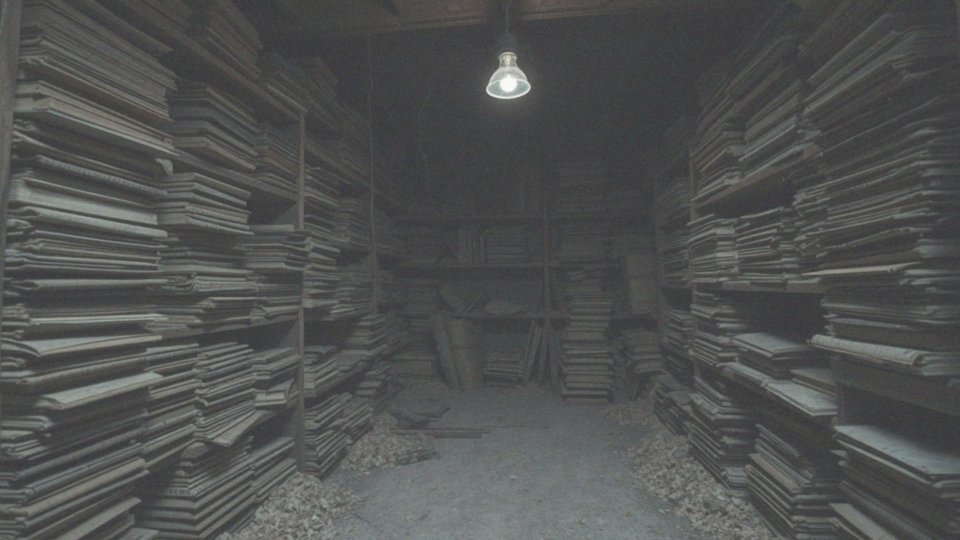Jakie obrażenia wyrządzają gryzki w książkach i innych materiałach?
