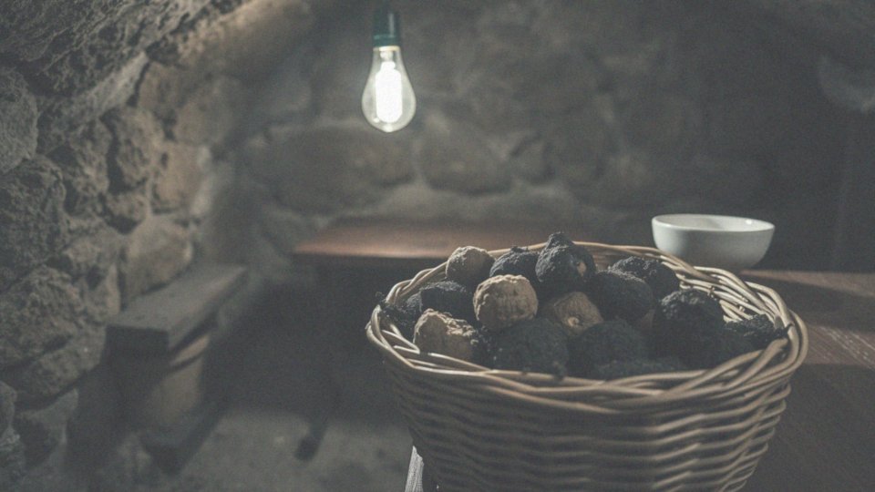 Dlaczego smak trufli jest uważany za luksusowy?