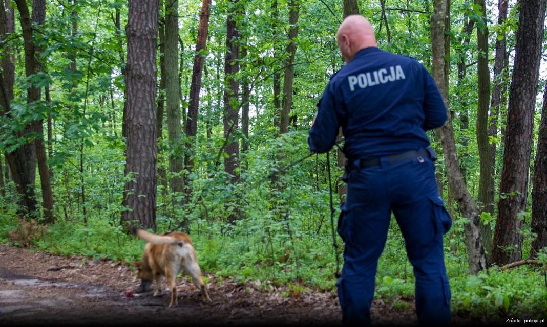 Kampania „Twoje Światła – Nasze Bezpieczeństwo” zainaugurowana w Warszawie