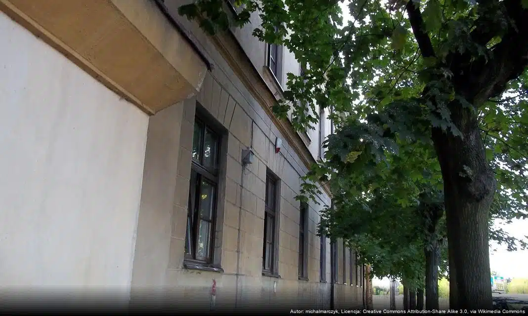 Informacje o akcjonariuszach dostarczania decyzji podatkowych w Łowiczu